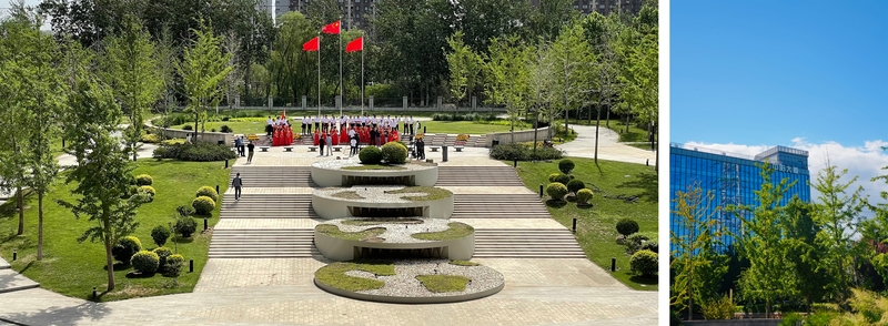 p2.jpg